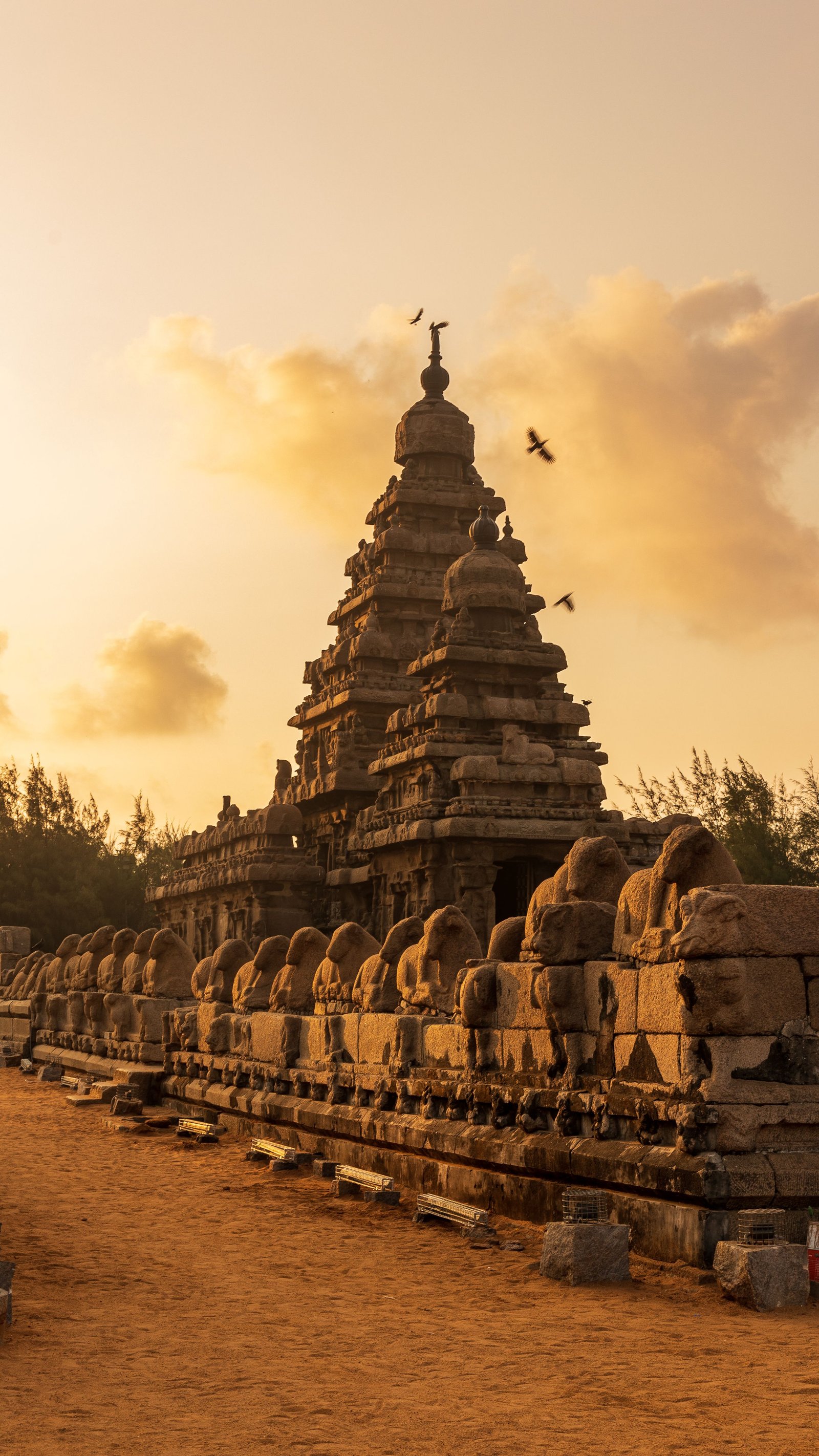 Tamil nadu