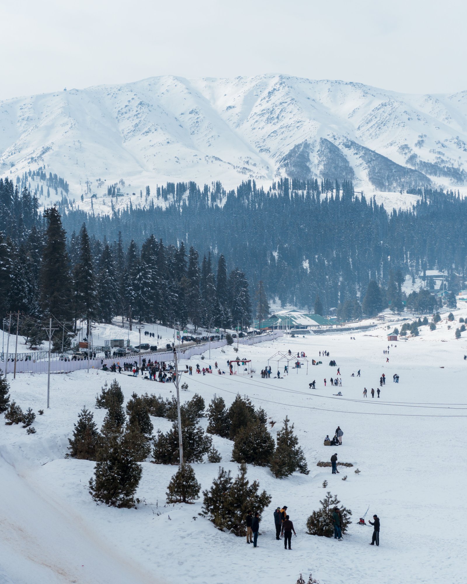Kashmir